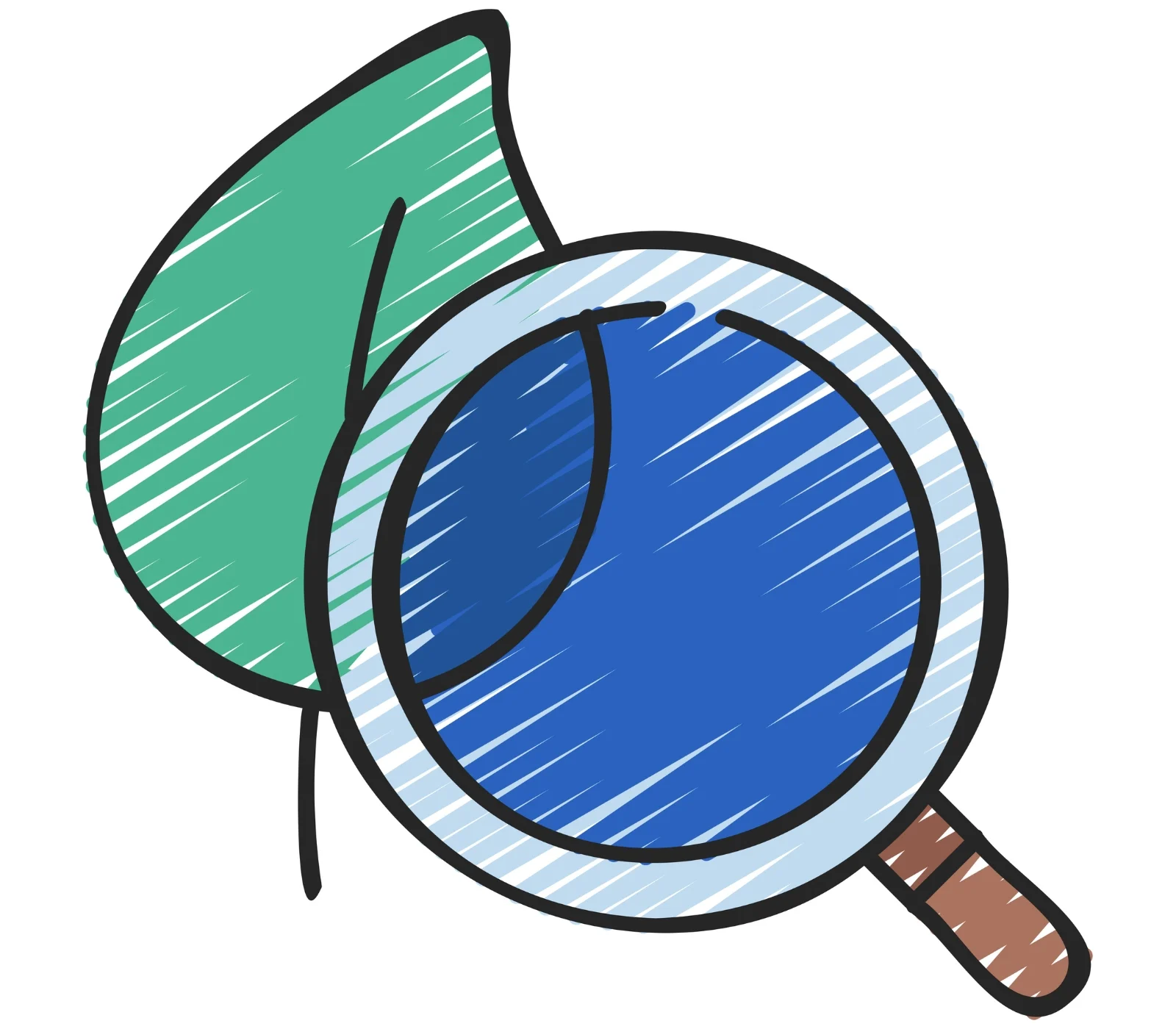 Ecohydrology Rivières Arythmiques